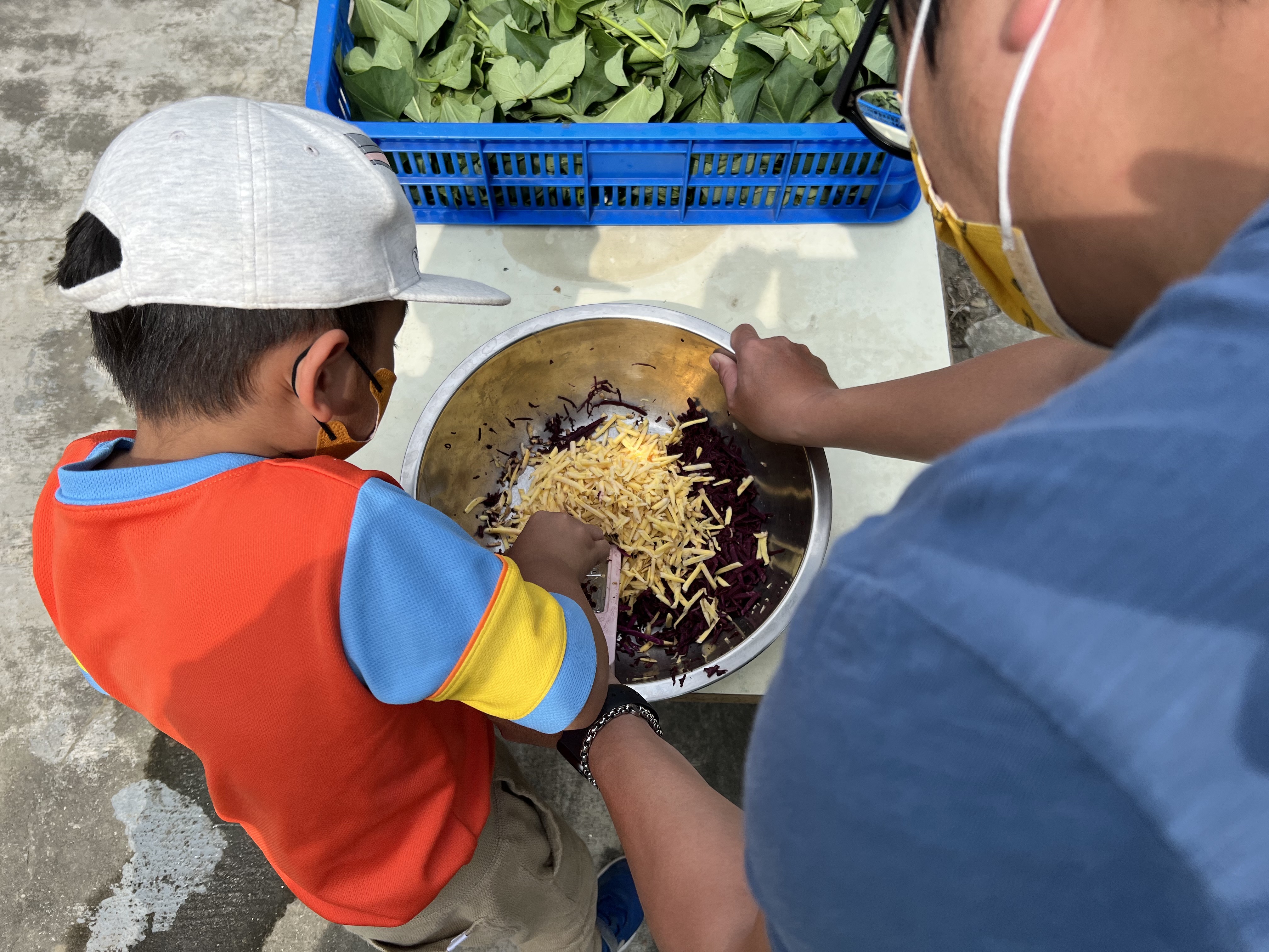 幼兒食農-要吃的地瓜自己拔