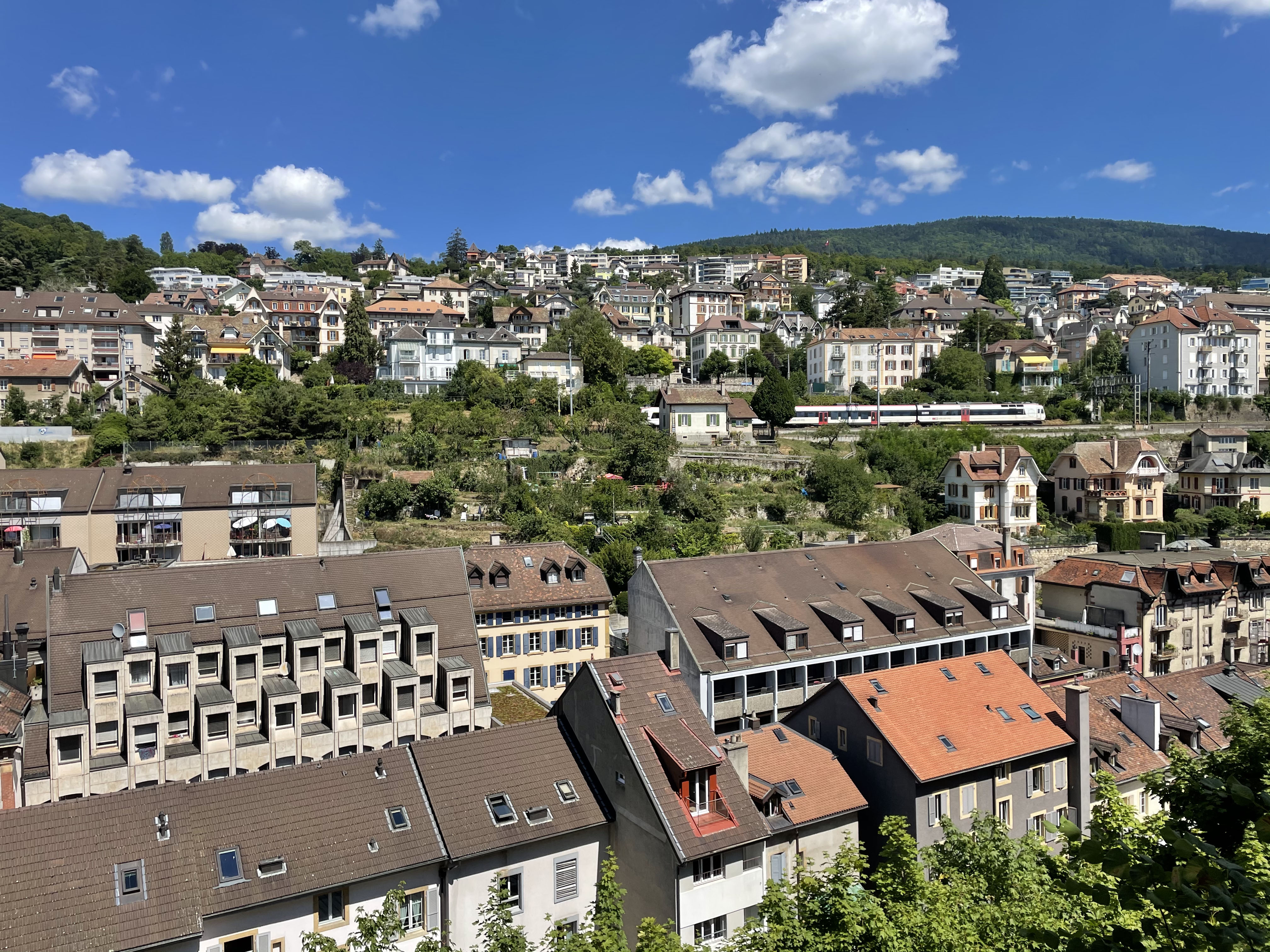 台灣動畫《渣》（SCUM）獲瑞士國際奇幻影展短片提名 