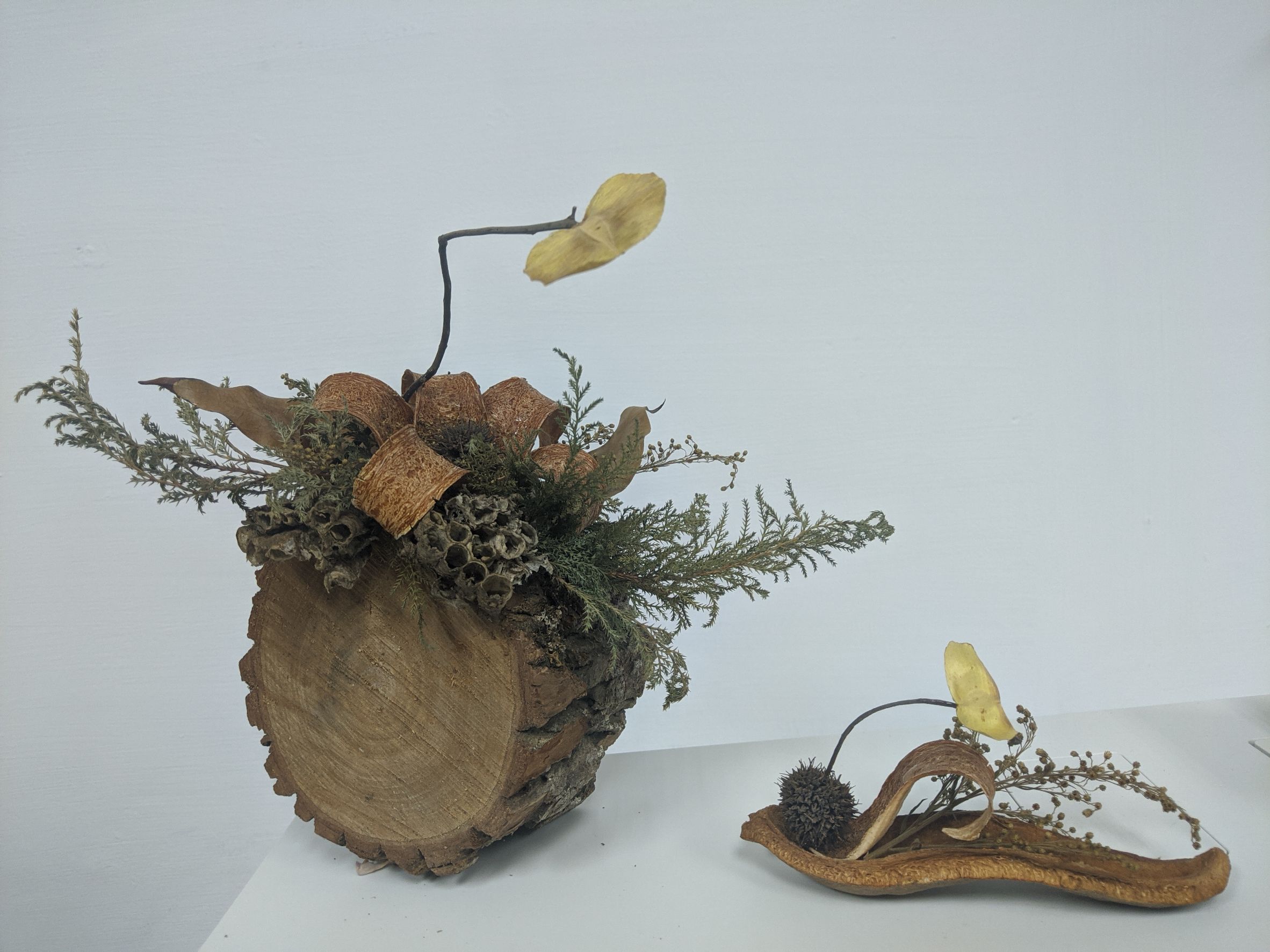 南應大展現新生活美學「美的沉思策展」大受矚目
