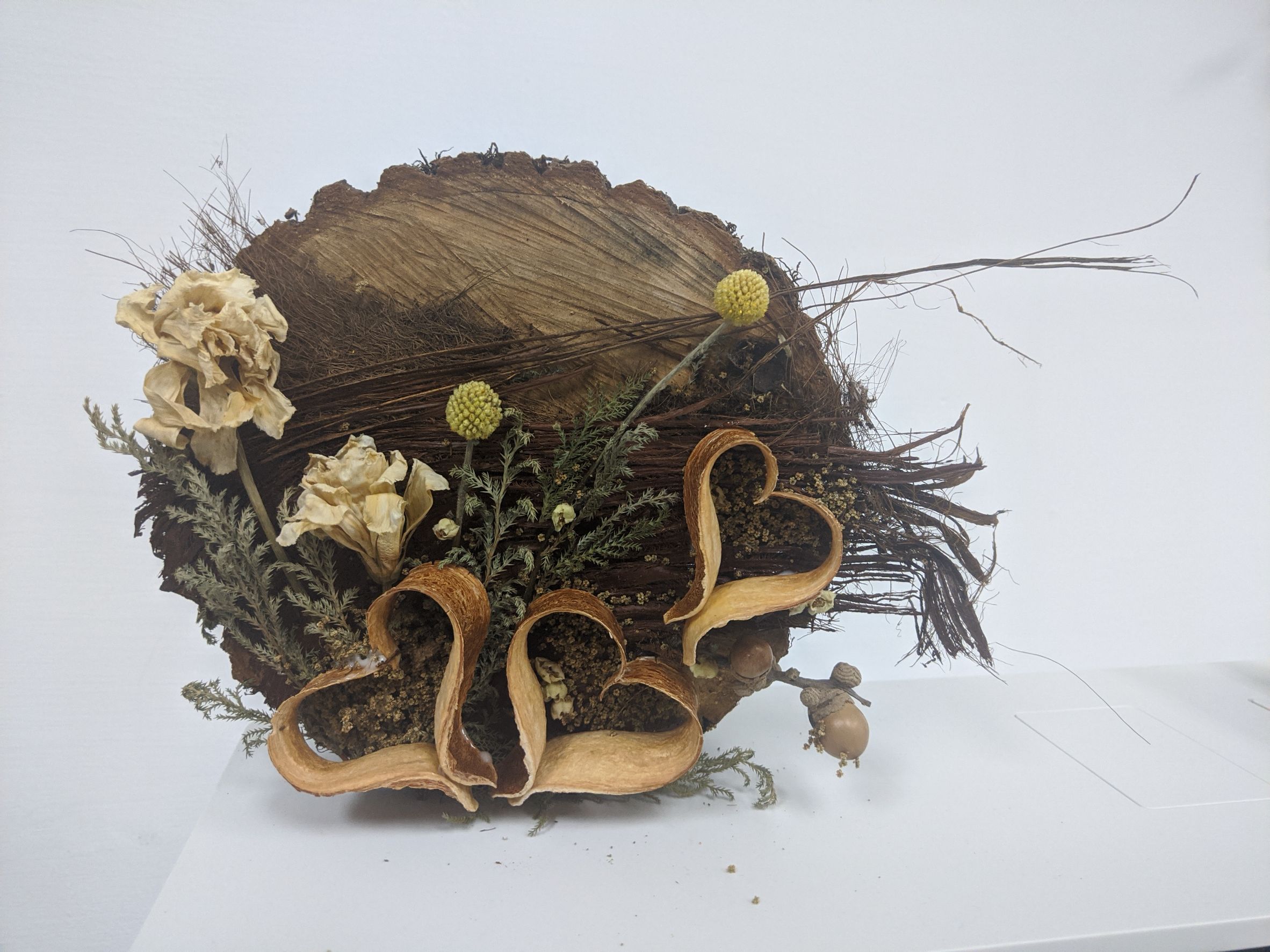 南應大展現新生活美學「美的沉思策展」大受矚目