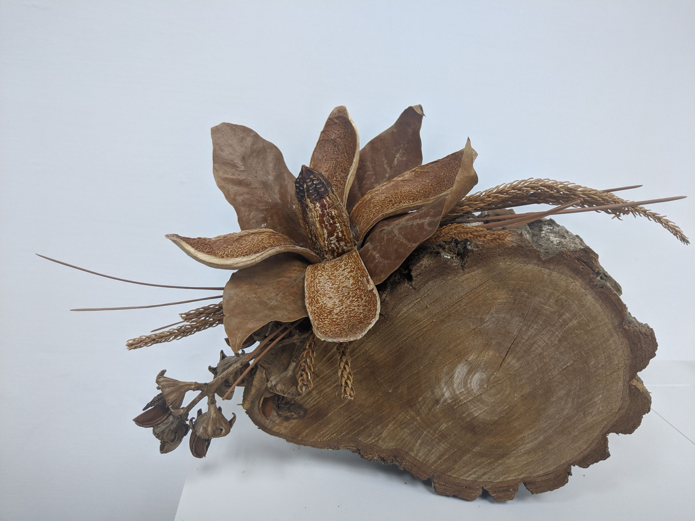 南應大展現新生活美學「美的沉思策展」大受矚目